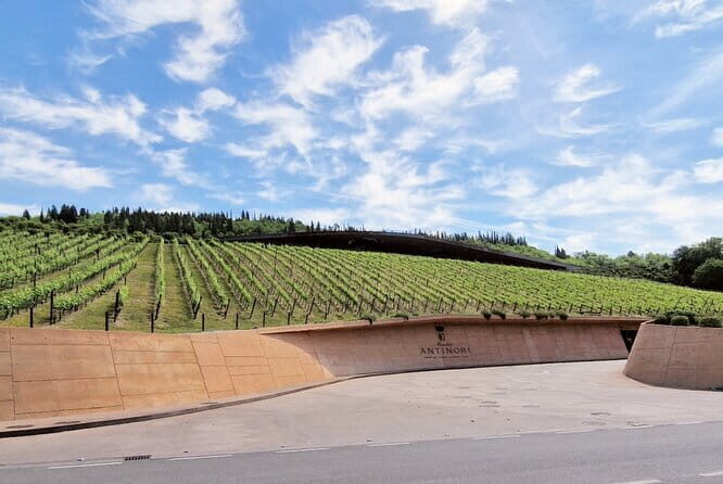PRIVATE WINE TOUR TUSCANY Chianti Wineries, Expert English driver - Private Mercedes Pickup From Florence to Chianti Classico