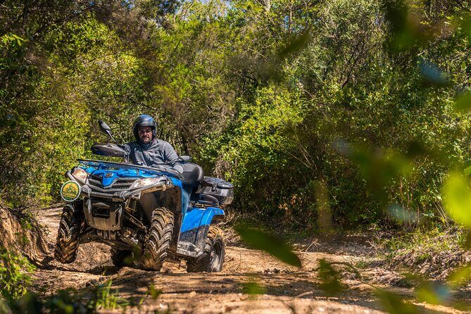 Quad excursion in the Maremma with barbecue in the woods - The Woods Ride: What You’ll Actually Feel on the Quad