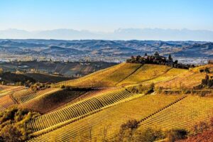 Radda in Chianti: Wine Tasting Tour with lunch at the Winery - Key Things to Know Before You Go