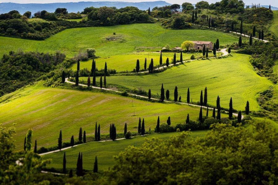ROMANTIC WINE TOUR FOR 2 - Wine Tour in Chianti (Tuscany) - What It Costs and When It Feels Like Good Value