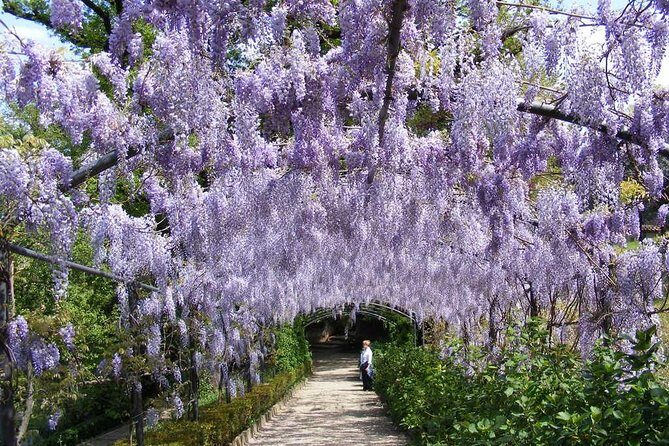Royal Paths of Florence: Explore the Boboli Gardens - Group Size and the Real Pace You Should Expect