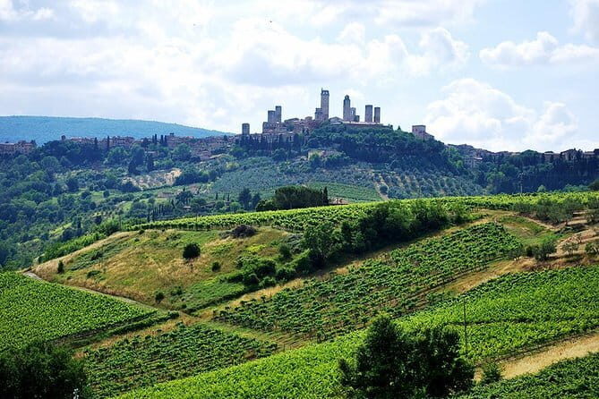 San Gimignano and Chianti Classico Wine and Food PRIVATE TOUR from Florence - Key highlights worth planning around