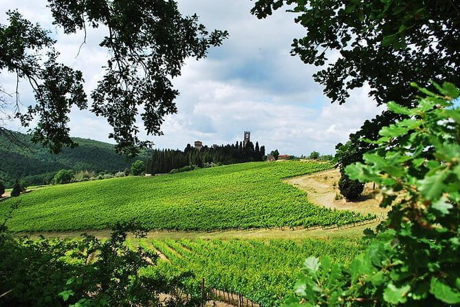 San Gimignano and Chianti Classico Wine and Food PRIVATE TOUR from Florence - Stop 1 on the Chiantigiana Road: Winery Tasting and Food Pairing in the Country