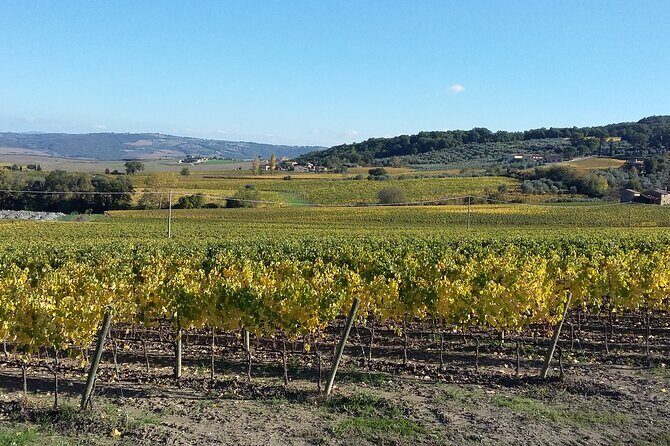 San Gimignano and Chianti tour - The 222 Chiantigiana drive: where the day turns scenic
