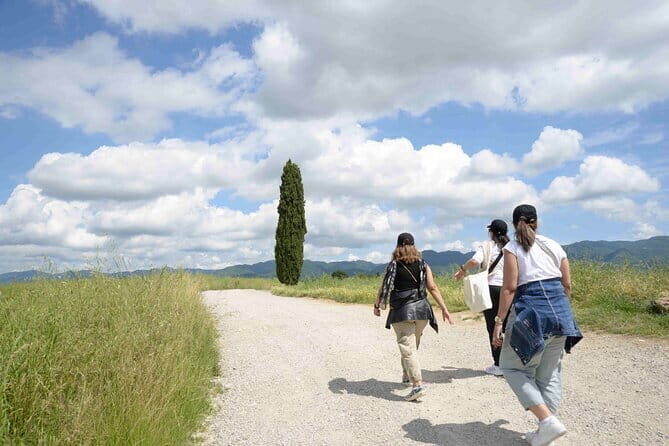 San Gimignano Bike Tour (SOFT) - Price and value: what $516.17 covers (and why that can be fair)
