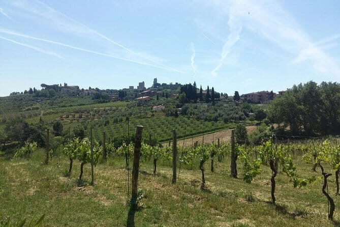San Gimignano, Saffron and Vernaccia Wine from Florence - Key Highlights I’d Plan Around