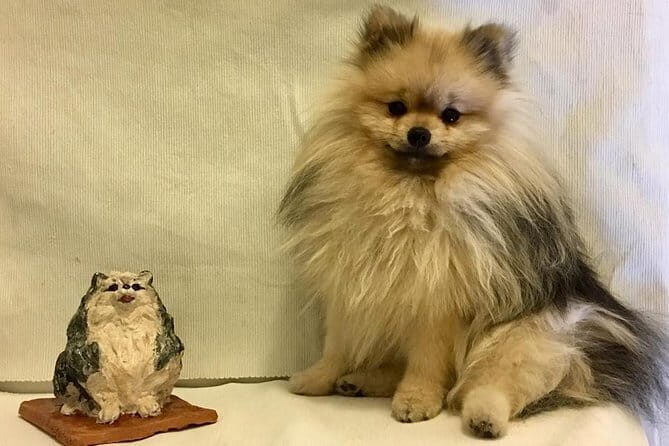 Sculpt to Florentine Pet - Key things to know before you sculpt a pet