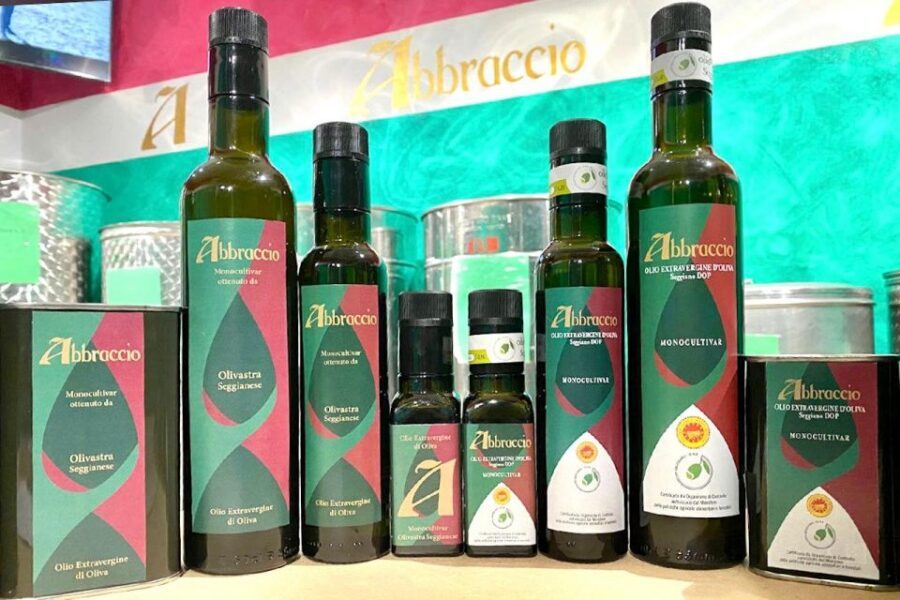 Seggiano: Typical Tuscan Farm Tour with Olive Oil Tasting - Equipment and cellar time: the part most people miss