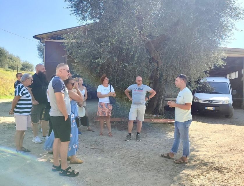 Seggiano: Typical Tuscan Farm Tour with Olive Oil Tasting - Price and value: is $53 for two hours worth it?