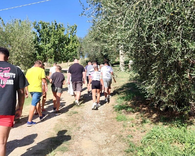 Seggiano: Typical Tuscan Farm Tour with Olive Oil Tasting - The sustainability angle: what you should take away