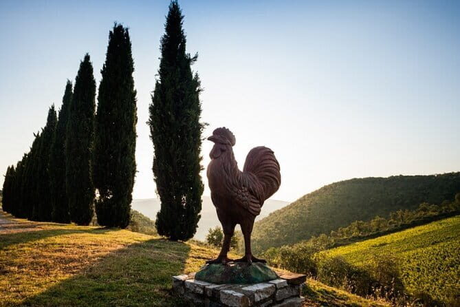 Semi-Private Chianti Wine Tour with Dinner in Tuscany Vineyard - Who should book this Chianti tour (and who might not)