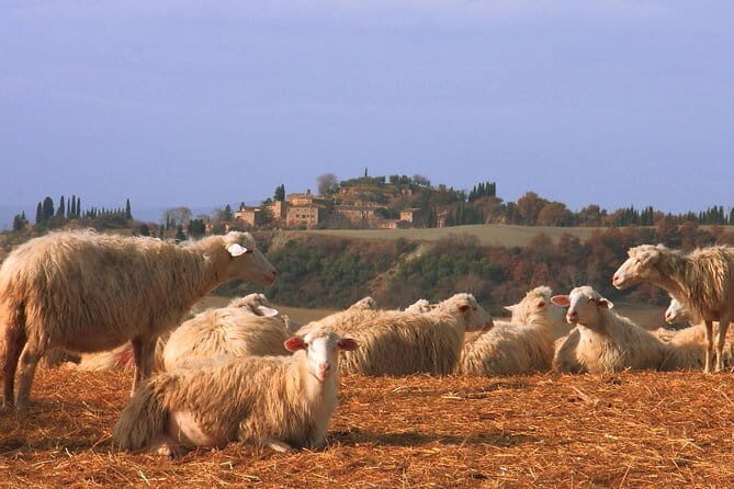 Semi-Private Gluten-Free Cooking Class in Florence - Price and value: what $114.65 buys in a 3-hour class