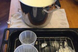 Semi Private tasting and Cheese-making Class in Florence - The tasting tray: from burrata to Parmigiano Reggiano