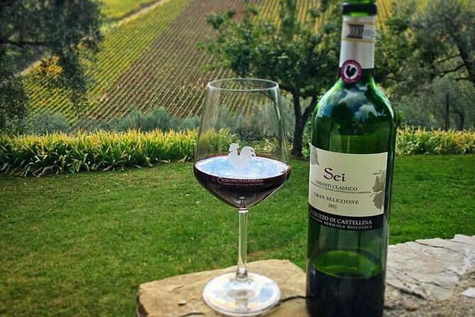 Siena and Chianti Wineries Excursion by Private Luxury Van from Florence - Key highlights to look for in your day