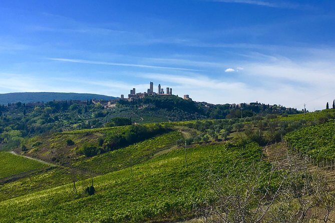 Siena and San Gimignano Tour from Florence - Private Tuscany in One Day: What You’re Paying For