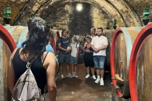 Siena, Cortona, Montepulciano & Val D'Orcia in a Small Group Tour - Cortona: Under the Tuscan Sun vibes, with real uphill wandering
