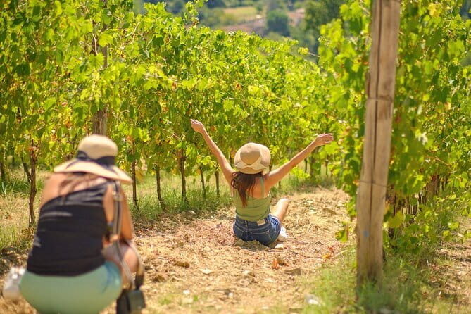 Siena, Cortona, Montepulciano & Val D'Orcia in a Small Group Tour - A local farm stop near Montepulciano: pigs, olives, and wine