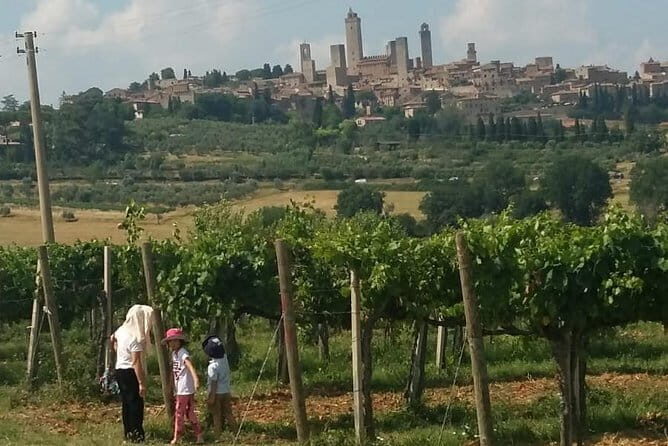 Siena Monteriggioni San Gimignano with Lunch&WineTasting Fullday from Florence - Private van + private pace: what you should ask for when customizing