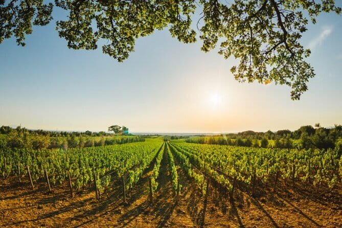 Siena & San Gimignano: Exclusive Tuscany Day Trip from Florence - Lunch and Wine Stop Near San Gimignano: Convent to Winery