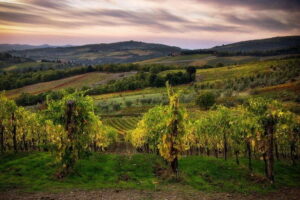 Sightseeing Tuscany by touring bike - 1 day rental - The bike setup: What’s included and why it matters on day one