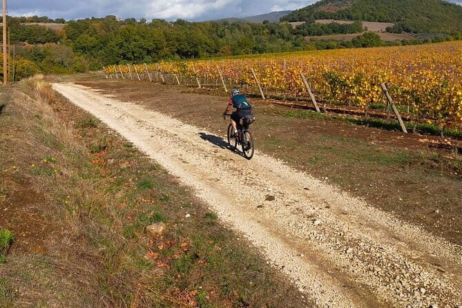 Sightseeing Tuscany by touring bike - 1 day rental - Route options in practice: Chianti loops and a San Gimignano stretch