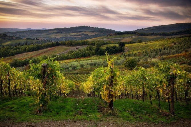 Sightseeing Tuscany by touring bike - 1 day rental - The bike setup: What’s included and why it matters on day one