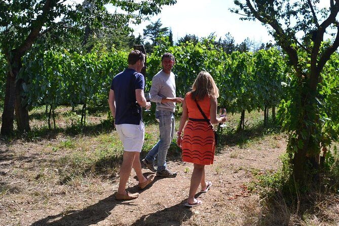 Small-Group Brunello Wine Tour of Montalcino from Florence - Fresh Tuscan Lunch with Wine Pairing at the Second Winery