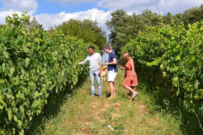 Small-Group Brunello Wine Tour of Montalcino from Florence - What You Get Included vs. What You Pay For Separately