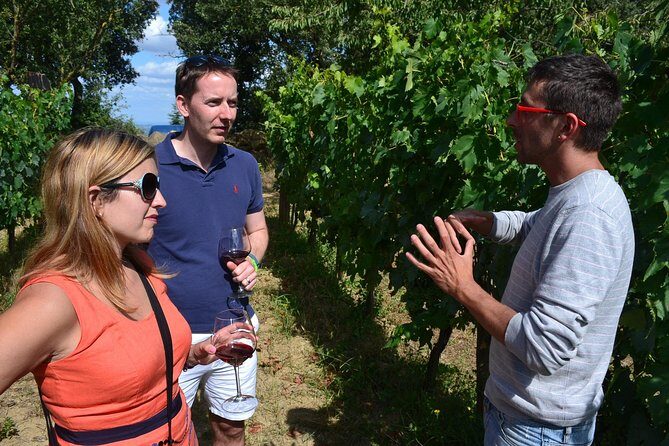 Small-Group Brunello Wine Tour of Montalcino from Florence - Price and Logistics: Is It Worth $433.48?