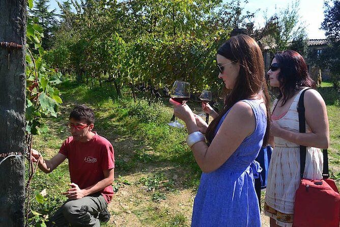 Small-Group Brunello Wine Tour of Montalcino from Florence - First Stop in Montalcino: Cellar Tour and Classic Tastings