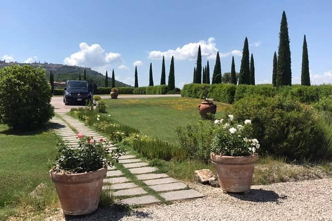 Small group Chianti-side wine tour with Mercedes V class Van - Key things to know before you go
