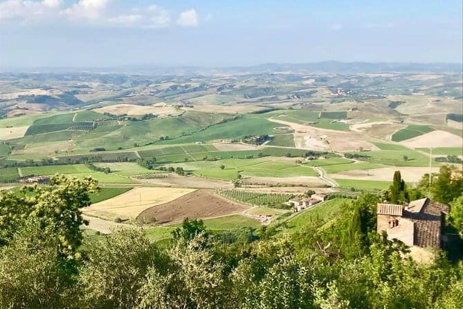 Small group Chianti-side wine tour with Mercedes V class Van - Cost check: what $336.41 gets you (and what to compare)