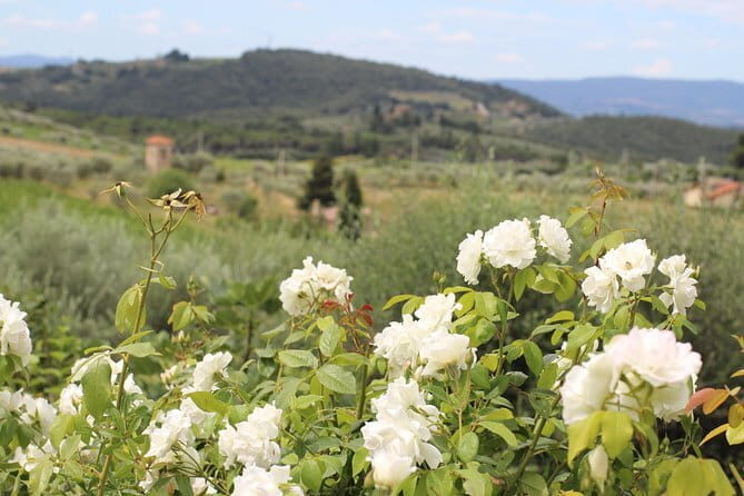 SMALL GROUP Chianti Tradition wine tour (max 8 pp) - Quick Reasons This Chianti Tour Gets So Much Love