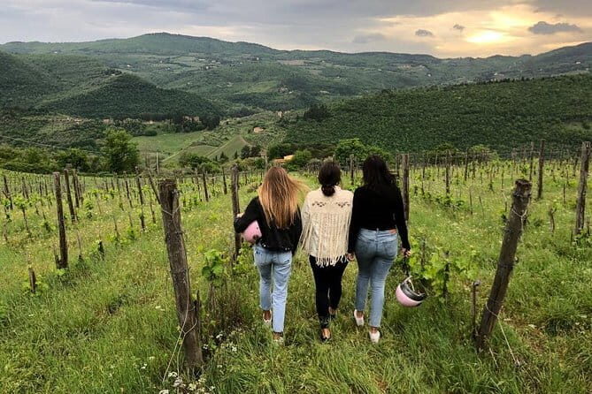 Small Group Wine Tasting in Tuscany with Vineyard Visit - From Florence to Fattoria San Pancrazio: the short van ride that sets the tone