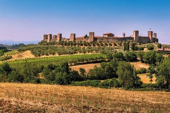 Special Chianti Afternoon Wine Tour from Florence - The winery visits: how the tastings actually work