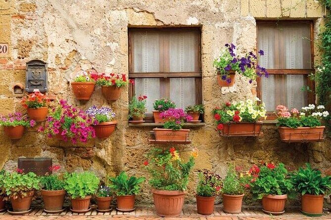 Special Chianti Afternoon Wine Tour from Florence - Price and value: is $108.33 a fair deal?