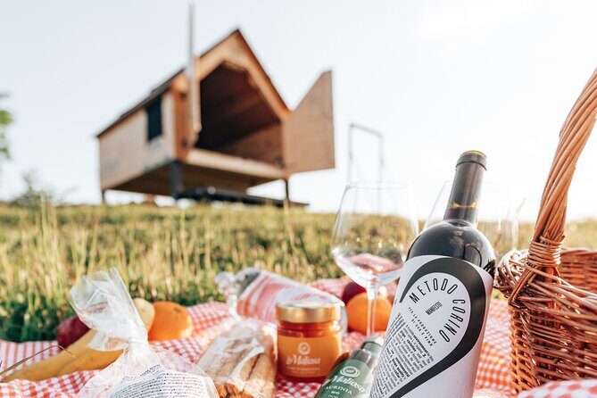 Stellar PicNic: Delight at sunset in the Tuscan countryside - The easy welcome: meadows, a chill zone, and optional BBQ