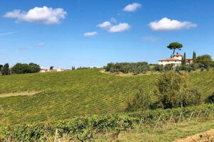Sunset VIP Chianti wine tour - VIP logistics from Florence: transport, group size, and mobile ticket