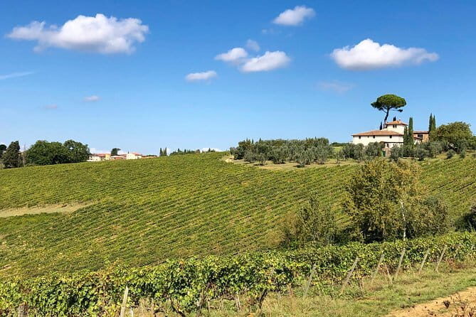 Sunset VIP Chianti wine tour - VIP logistics from Florence: transport, group size, and mobile ticket