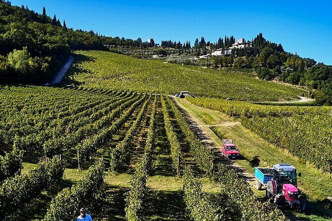 The Essence of Tuscany: Private Journey & Estate Winery Lunch - From Florence to Chianti: Hotel Pickup That Lets You Relax