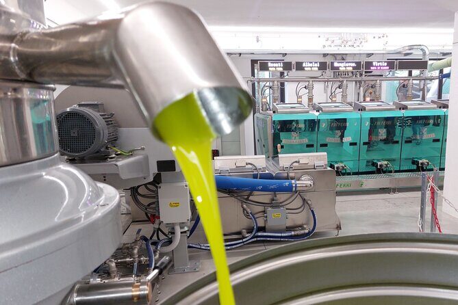 TOUR and TICKETS, VISIT TO THE MILL AND EVO OIL TASTING - The English touches: where the tour stays easy to follow