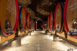 Tour of 900year old secret cellars + tasting of 3 wines and bread with EVO oil - Inside Castello del Trebbio: cellars, winery, and farm in one guided flow