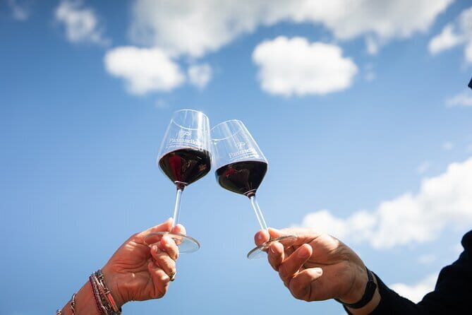 Triumph of Flavors, Winery Tour, Organic Wines in Panzano in Chianti - Key highlights you’ll actually feel