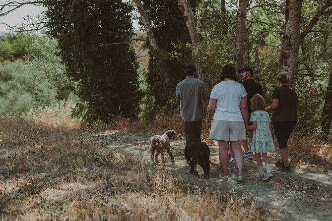 Truffle Hunt in Tuscany - How the Hunt Works with Elio and His Dogs