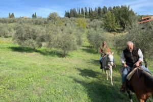 Truffle hunt, Lunch, Horse riding, a top half-day near Florence - Meet the Truffle Hunter: What You Learn Before the Dogs Work