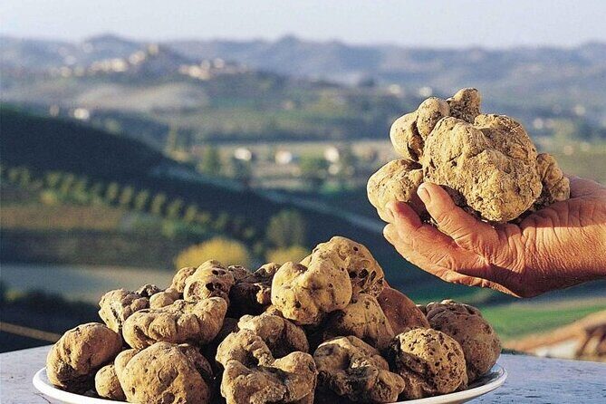 Truffle hunting and lunch experience, with Vinci and winery. - San Miniato’s Historic Center and Rocca Federiciana Stroll