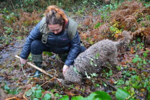 Truffle Hunting Experience with Lunch in San Miniato - Meeting at Fattoria Collebrunacchi: The 11:00 Start and What It Means