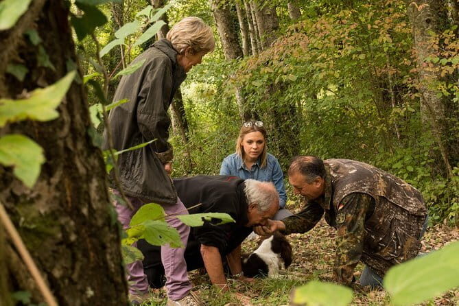Truffle hunting + gourmet tasting (transfer included) - Key things to know before you go