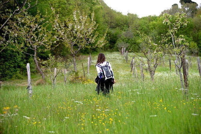 Truffle hunting + gourmet tasting (transfer included) - Group size, timing, and what “3 hours” really feels like