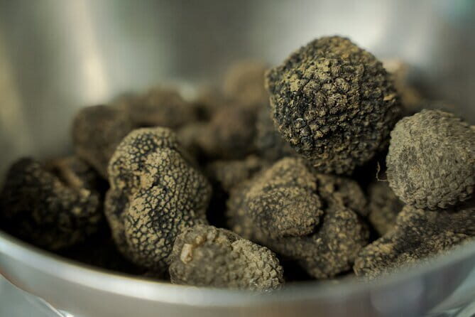 Truffle hunting + gourmet tasting (transfer included) - Price and value: why $439.75 can make sense